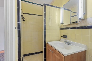 Create your own masterpiece with this midcentury modern bungalow - photo 15