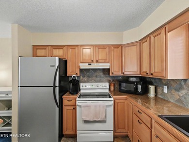 One of the best breathtaking views on Norris Lake. This condo is - photo 7