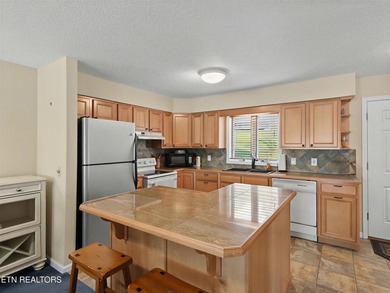One of the best breathtaking views on Norris Lake. This condo is - photo 9