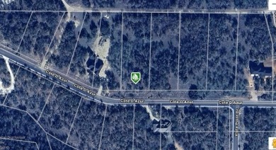 Lake Lot For Sale in Chico, Texas
