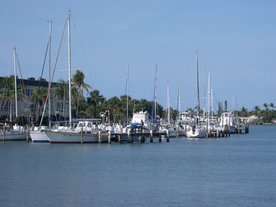 Very low maintenance and boat dockage fees!!! Great top (3rd) - photo 50