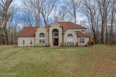 (private lake, pond, coastal) Home Sale Pending in Nesbit Mississippi