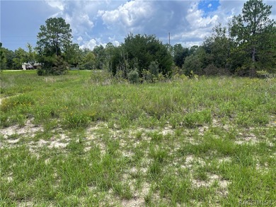 Lake Rousseau Lot For Sale in Dunnellon Florida