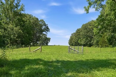 Beyond the pace of everyday life, where towering hardwoods - photo 25