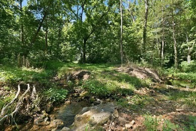 Beyond the pace of everyday life, where towering hardwoods - photo 26