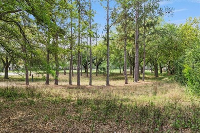 Welcome to a truly exceptional custom home in Keene's Pointe - photo 50