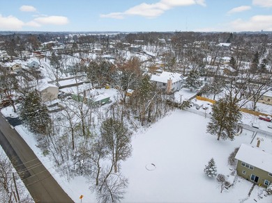 Buildable lot located in unincorporated Lake County! This - photo 2