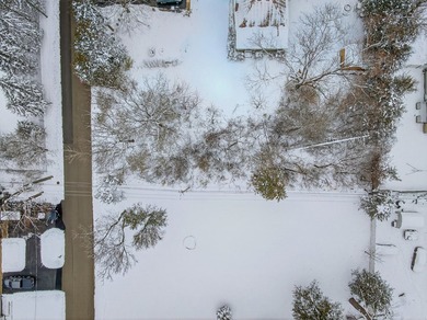 Buildable lot located in unincorporated Lake County! This - photo 3
