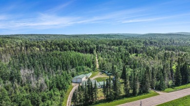 (private lake, pond, creek) Home For Sale in Wolverine Michigan