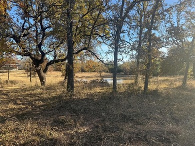 (private lake, pond, coastal) Acreage For Sale in Weatherford Texas