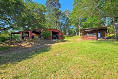 Discover a rare UNRESTRICTED waterfront retreat on Toledo Bend - photo 17