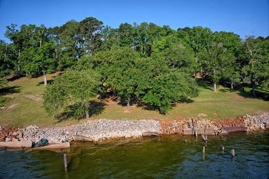 Discover a rare UNRESTRICTED waterfront retreat on Toledo Bend - photo 27