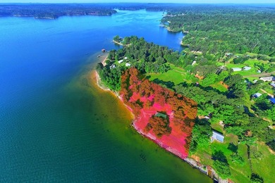 Discover a rare UNRESTRICTED waterfront retreat on Toledo Bend - photo 40