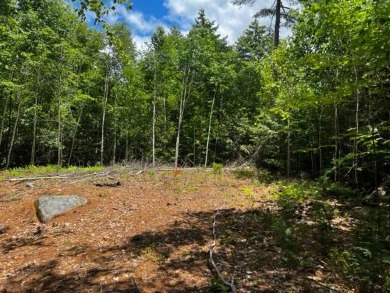 South Pond Acreage For Sale in Woodstock Maine