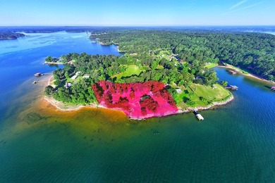 Discover a rare UNRESTRICTED waterfront retreat on Toledo Bend - photo 41