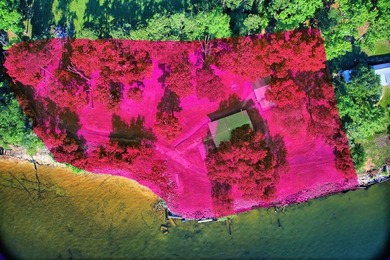 Discover a rare UNRESTRICTED waterfront retreat on Toledo Bend - photo 43