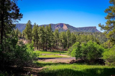 7+ Acres in Gated Elk Park Meadows - Outstanding Value!!