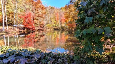 (private lake, pond, coastal) Lot For Sale in Sylva North Carolina