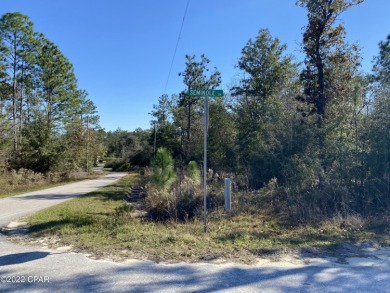 Lake Lot For Sale in Marianna, Florida