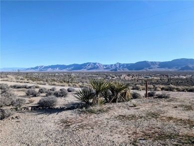 Lake Mead Acreage For Sale in Meadview Arizona