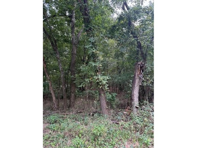 6 Lots - 1.37 Acres in the Heart of Dougherty, OK - Small Town - photo 2