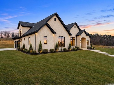 Welcome home to this stunning brand-new construction nestled - photo 43