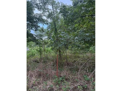 6 Lots - 1.37 Acres in the Heart of Dougherty, OK - Small Town - photo 3