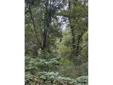 6 Lots - 1.37 Acres in the Heart of Dougherty, OK - Small Town - photo 4