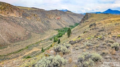 Lake Acreage Sale Pending in Mackay, Idaho