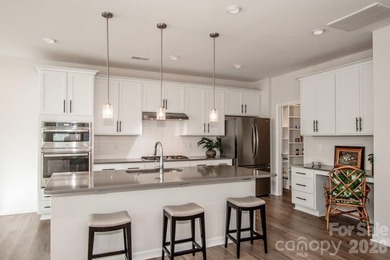 Priced to sell this better than new, move-in ready, light filled - photo 11