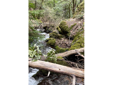 Escape Virtual Reality on this magical piece of land, a true - photo 12