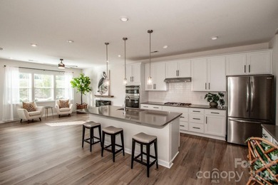 Priced to sell this better than new, move-in ready, light filled - photo 13
