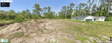 Lake Lot For Sale in Ocklawaha, Florida
