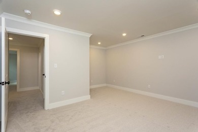 Luxury living at its finest in this stunning New construction - photo 25