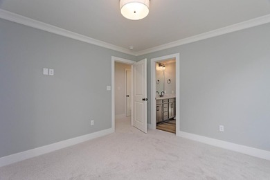 Luxury living at its finest in this stunning New construction - photo 28