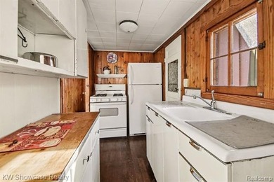 ***HUBBARD LAKE*** West Shore Lakefront Investment Opportunity - photo 36