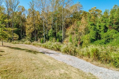Priced to sell this better than new, move-in ready, light filled - photo 37