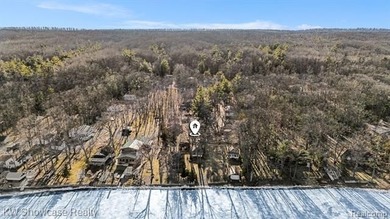 ***HUBBARD LAKE*** West Shore Lakefront Investment Opportunity - photo 43