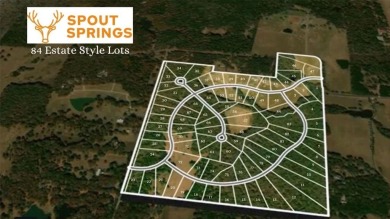 Lake Lot For Sale in Pottsboro, Texas