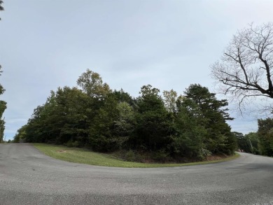 Lake Lot For Sale in Shirley, Arkansas