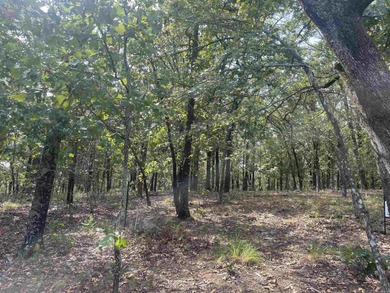 Beaver Fork Lake Acreage For Sale in Conway Arkansas