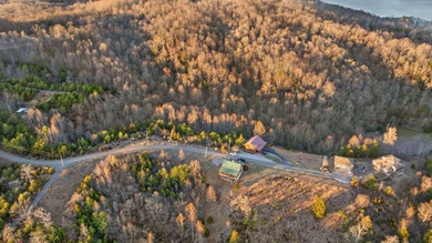 *Don't miss this beautiful 1 acre property featuring Lots 14 & - photo 11
