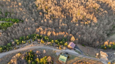 *Don't miss this beautiful 1 acre property featuring Lots 14 & - photo 12
