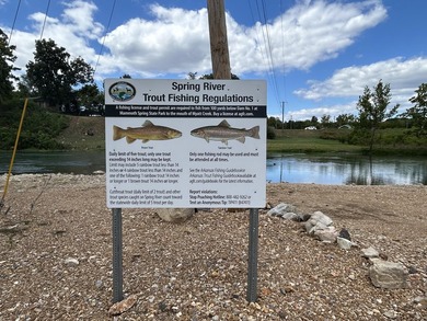 SPRING RIVER: Riverside Resort with approx. 800 ft. of Spring - photo 13