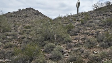 1.38 ACRE CUSTOM HOMESITE IN VERRADO. A natural foothill - photo 28