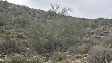 1.38 ACRE CUSTOM HOMESITE IN VERRADO. A natural foothill - photo 30