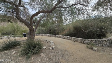 1.38 ACRE CUSTOM HOMESITE IN VERRADO. A natural foothill - photo 34