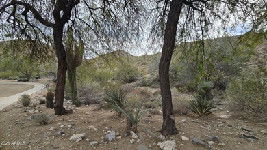 1.38 ACRE CUSTOM HOMESITE IN VERRADO. A natural foothill - photo 39