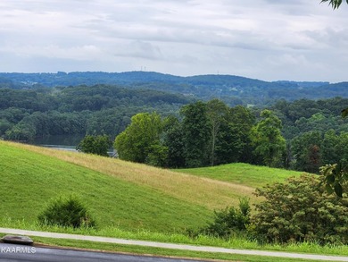 This lot 100 in Windswept on Cherokee Lake will impress with - photo 4