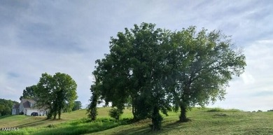 This lot 100 in Windswept on Cherokee Lake will impress with - photo 8